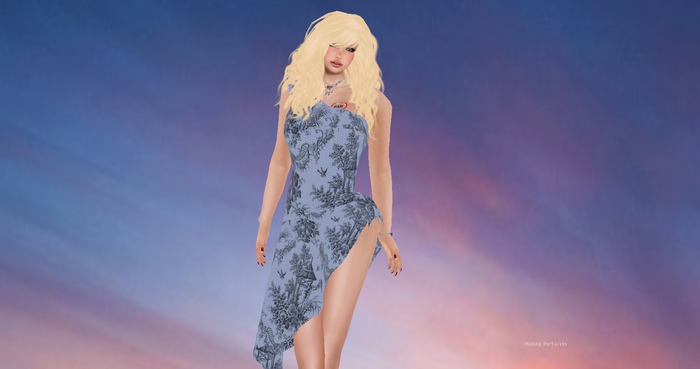 Oriental Mesh Dress 14