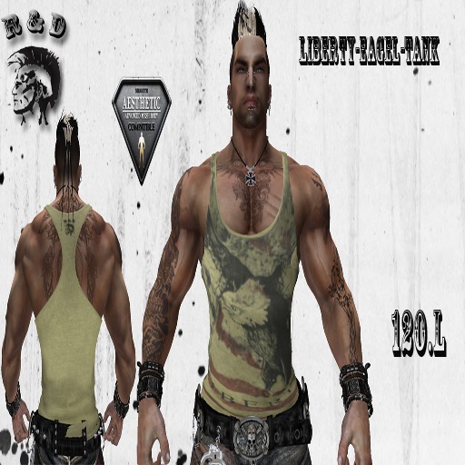 Box-[ mJ [ mJ R&DTank Top-liberty Eagel-Fitted Mesh