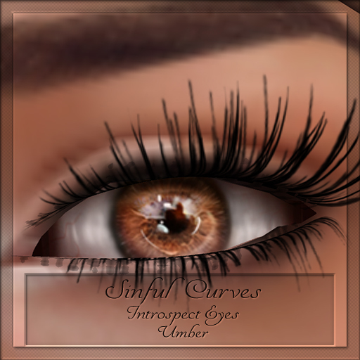 Avada~ Introspect Eyes Umber