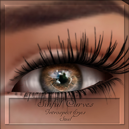 *ScS* Introspect Eyes Steel