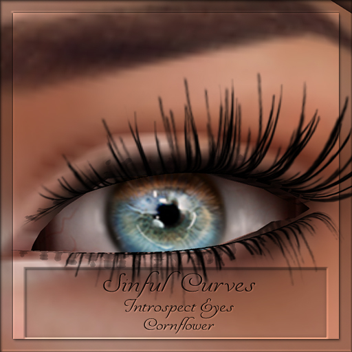 *ScS* Introspect Eyes Cornflower