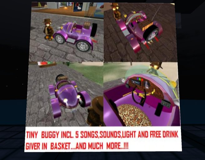 TINY TRAVELING BUGGY !!!