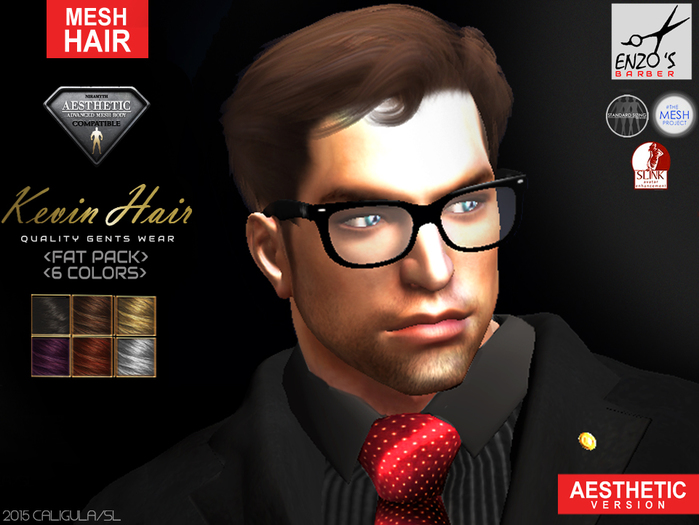 CA AESTHETIC MESH HAIR KEVIN