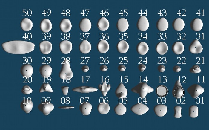 small Lemon Sculpty Pack 50+a (WebShop2)