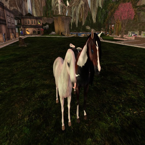 Taller QH Shape