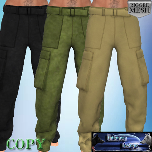 UD Mens Cargo Pants X