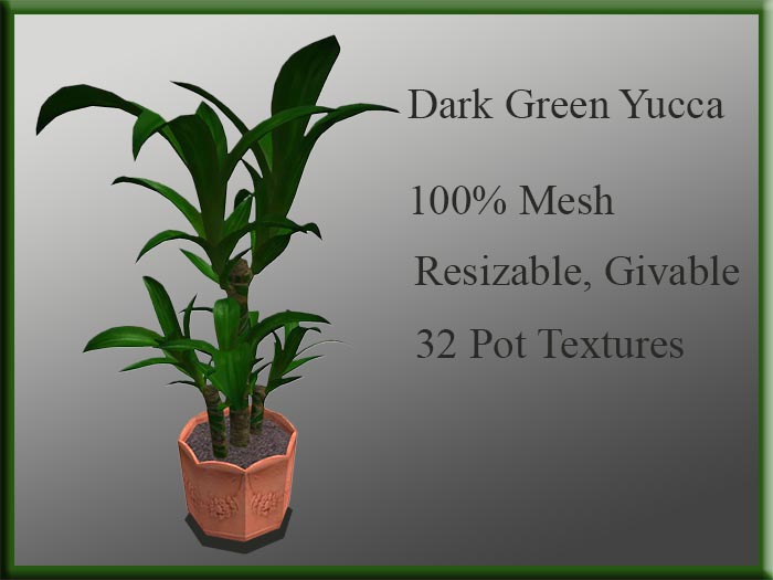 !MM! Yucca Dark Green