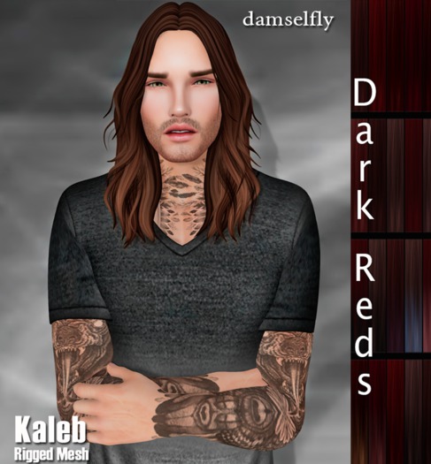 *~*Damselfly*~*Kaleb Rigged-Mesh Dark Reds