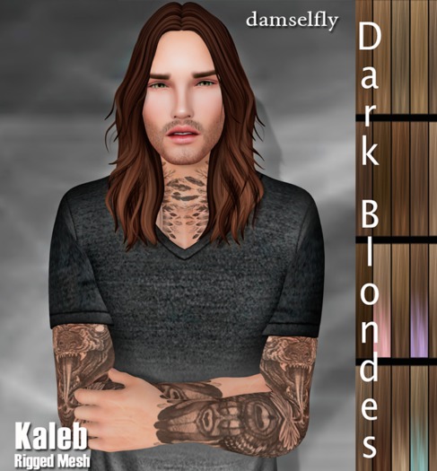 *~*Damselfly*~*Rainah Mesh Tropic