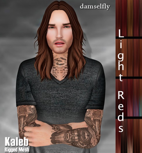 *~*Damselfly*~*Kaleb Rigged-Mesh Light Reds