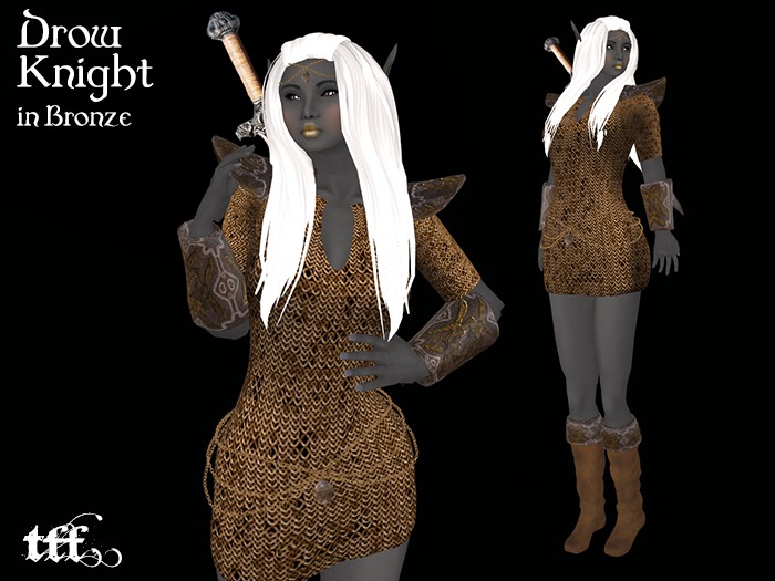 Drow Knight in Bronze - TFF