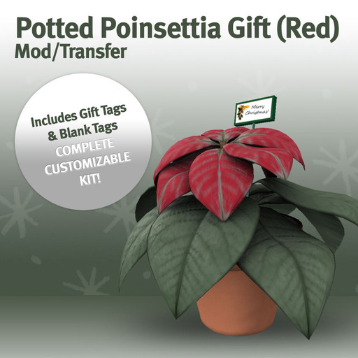 Potted Poinsettia Gift (Red)