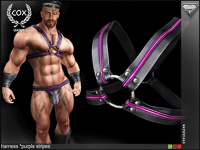 *COX* Harness* Purple stripes(Niramyth)