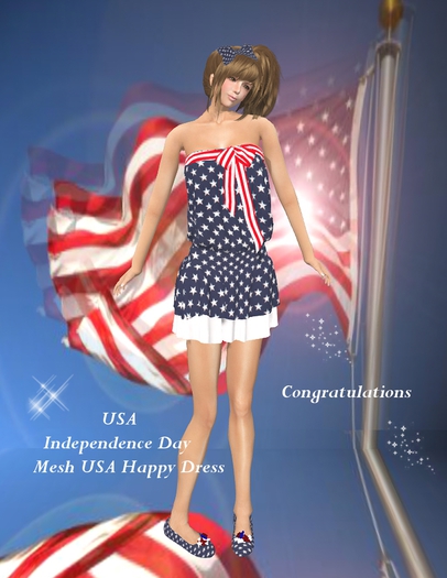 Mesh USA Happy Dress Box