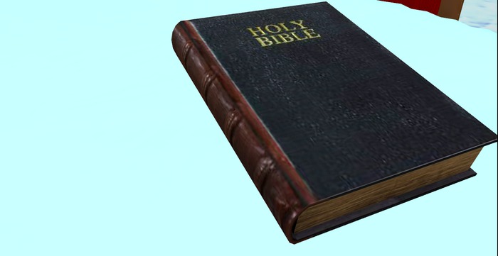 ~FT~ Holy bible mesh book (wear me)
