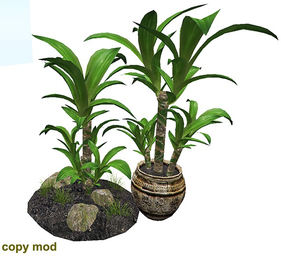 Corn Plant - Copy Mod