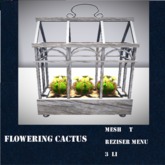 *KB* Flowering Cactus