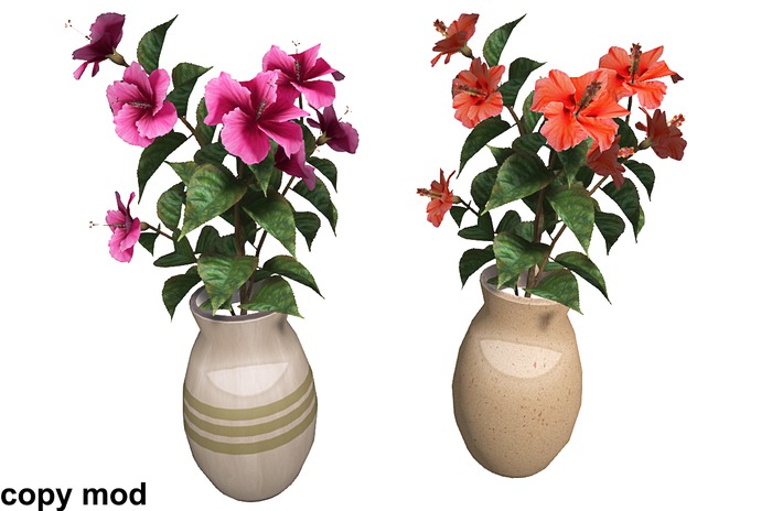 Flowers In Vase - 2 Pack - Copy Mod