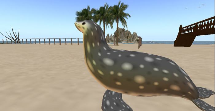 sealion breedable starter kit