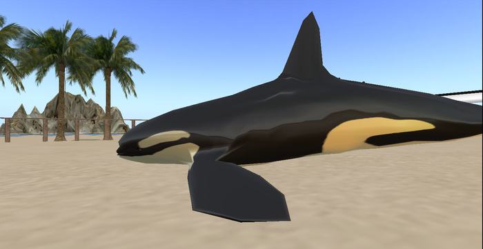 breedable starter kit orca