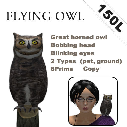Flying Owl ( include wearable pet, random fly, animate )