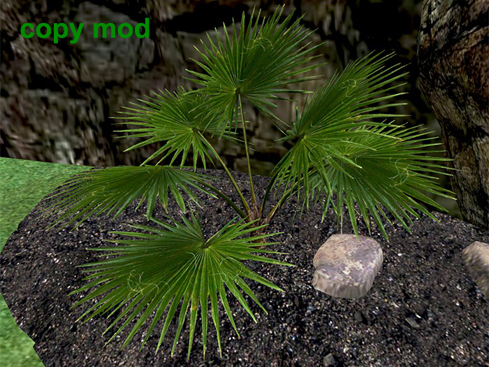 Fan Palm - Copy Mod