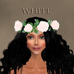 rose crown (white)