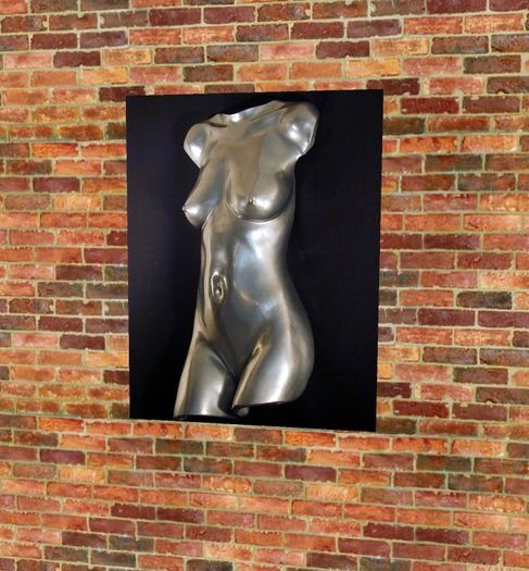 TORSO PICTURE