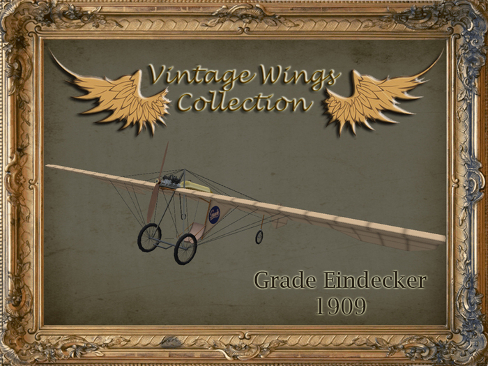 Vintage Wings - Demoiselle 1908