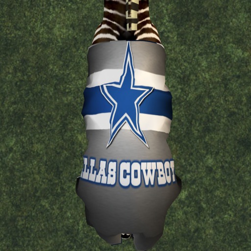 DallasCowboys