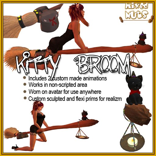 MN - Flying Kitty Broom