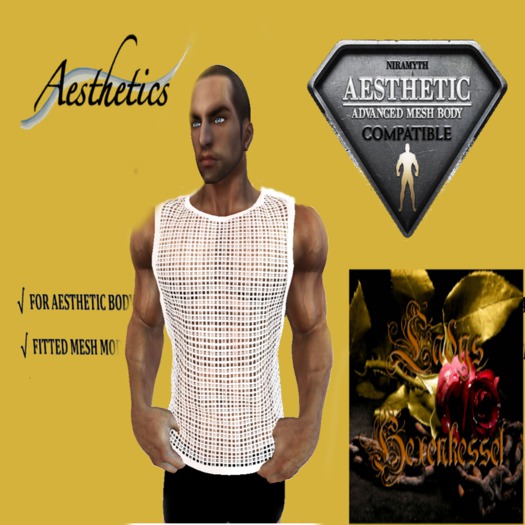 (NIRAMYTH) - AESTHETIC  Netz WeithTank Top - Fitted Mesh