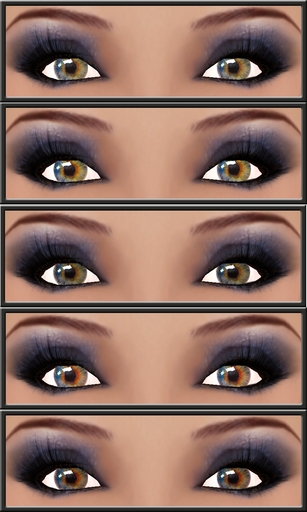 Pack  Eyes XK Multicolor