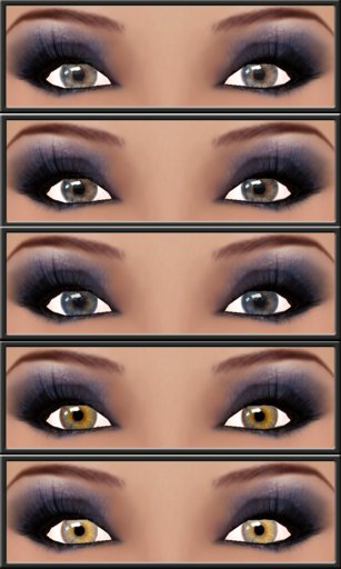 Pack  Eyes XK Gris