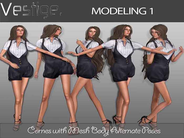 Vestige Modeling 1
