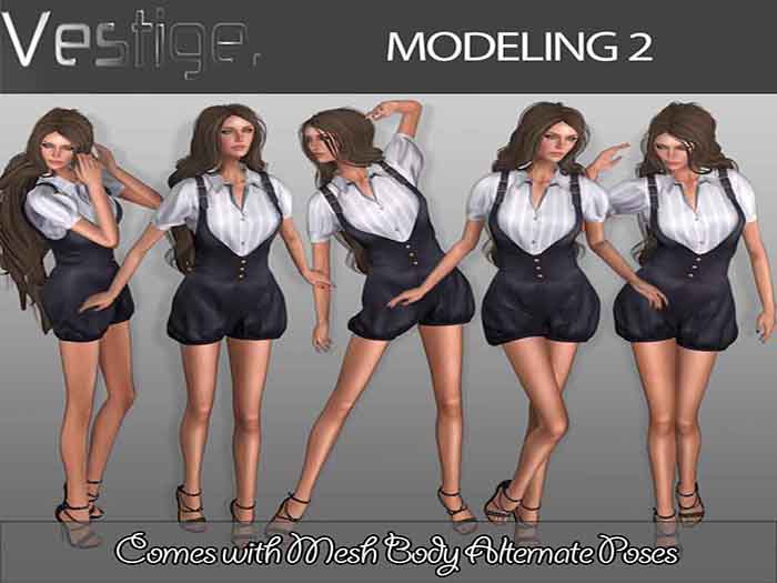 Vestige Modeling 2
