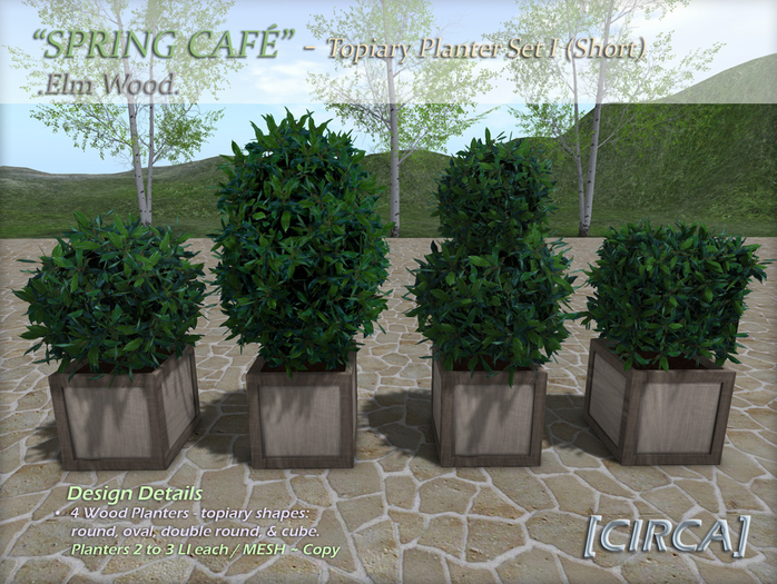 [CIRCA] - "Spring Cafe" - Topiary Planter Set 1 (Short) - Elm 
