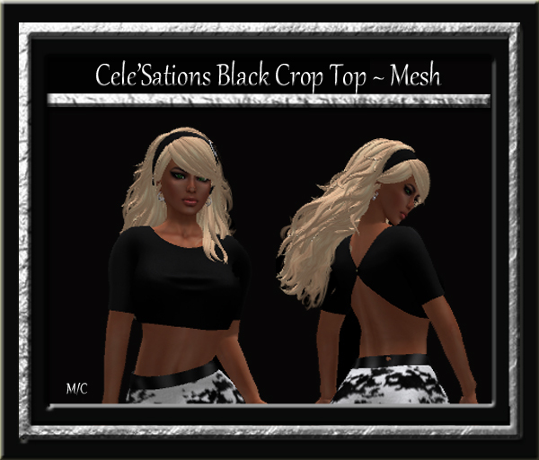 Cele'Sations Mini Skirt A MESH Pk