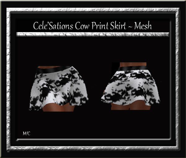 Cele'Sations Mini Skirt A MESH Pk