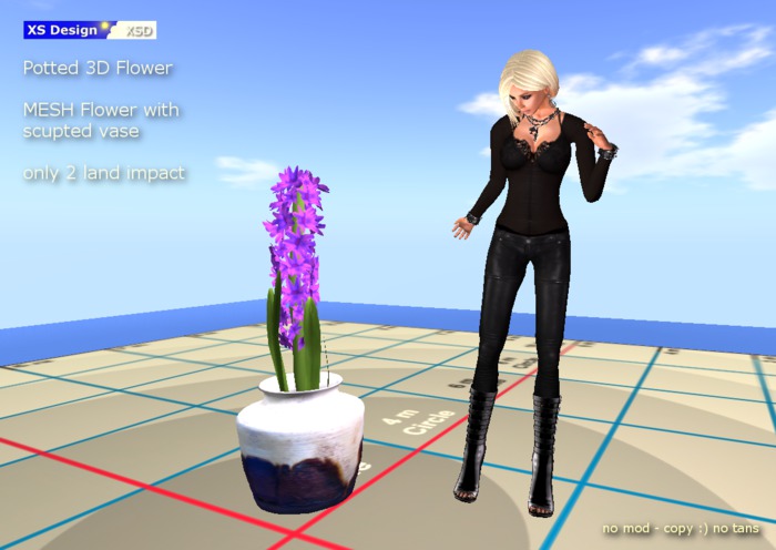 XSD_Potted 3D Flower ;D (boxed)