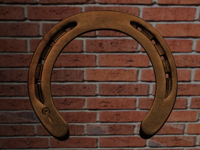 Bronze Horseshoe