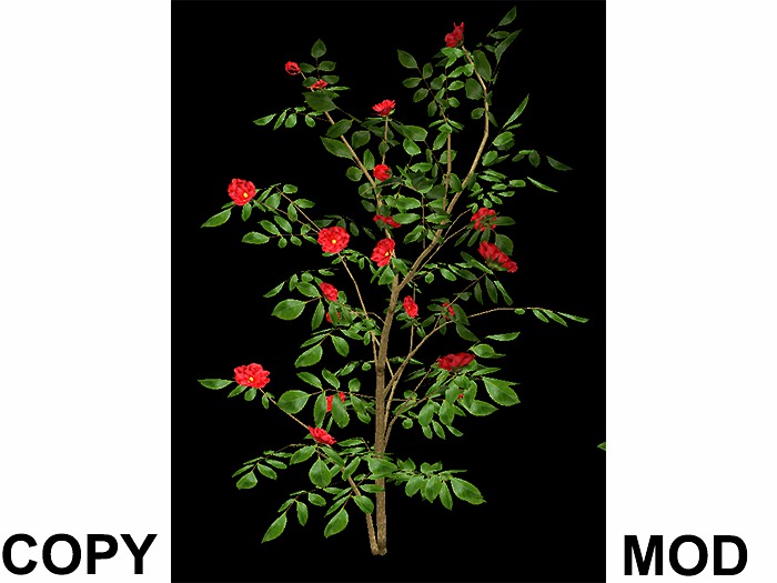 Camellia - Red_Copy Mod