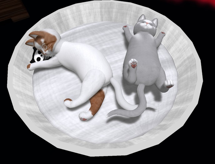 [ms] blueish kittie basket