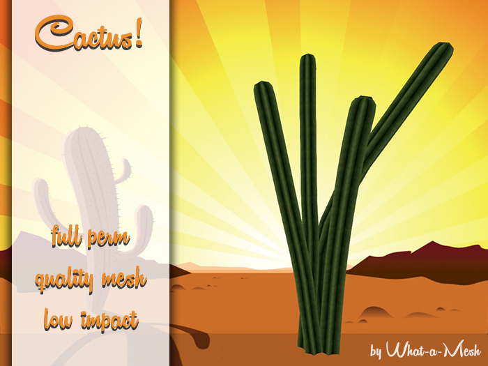 [WaM] Cactus 1 - FULL PERM