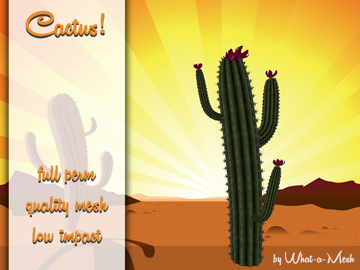 [WaM] Cactus 4 - FULL PERM