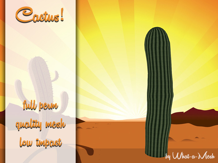 [WaM] Cactus 6
