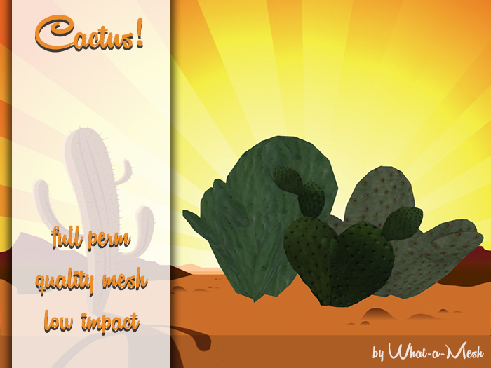 [WaM] Cactus 12 - FULL PERM