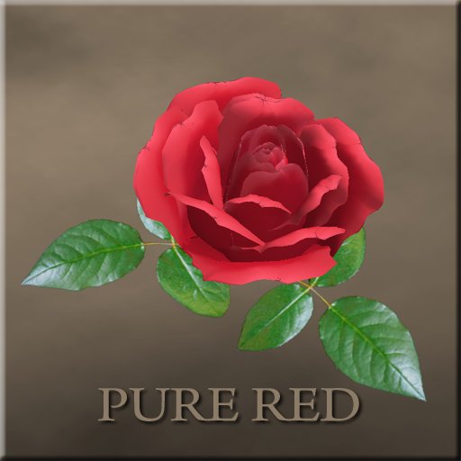 rose pin (pure red)