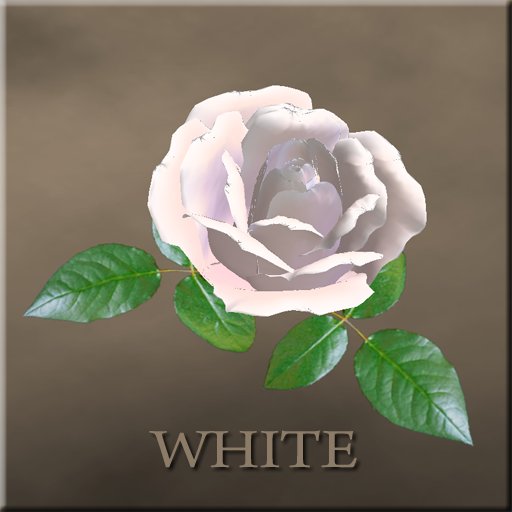 rose pin (white)