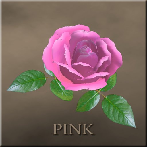 rose pin (pink)